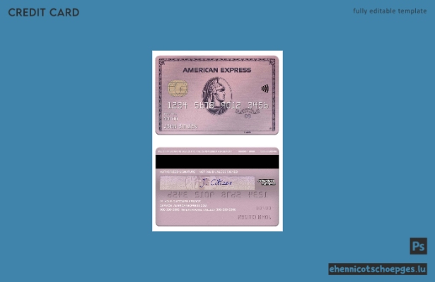 USA ADP Earnings Bank American Express Rose Gold Card Beispielvorschau
